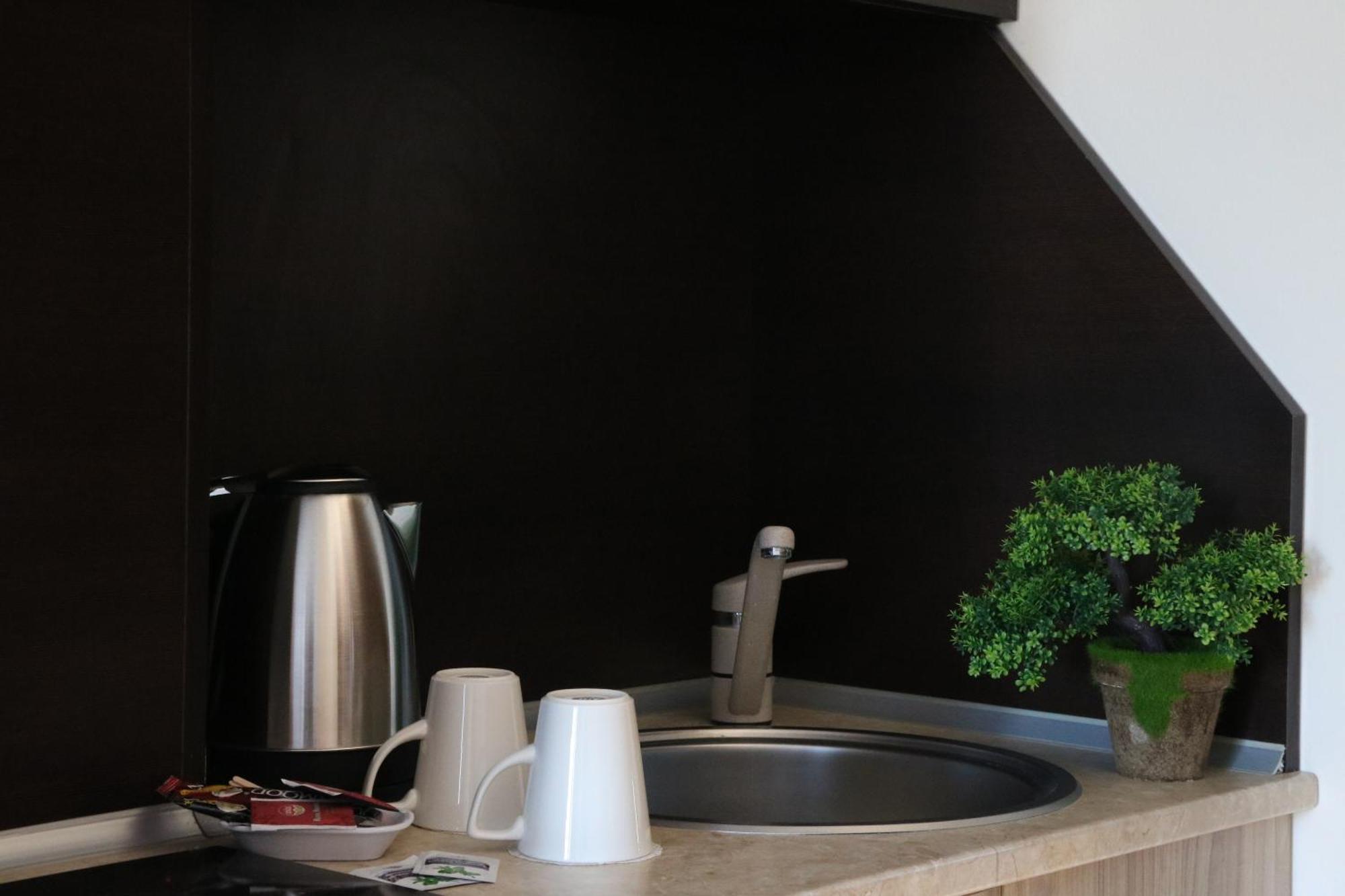 Estudio con terraza