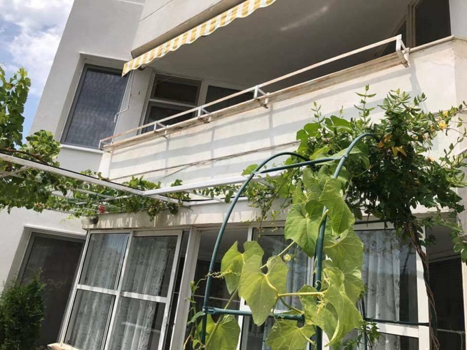 Apartment mit 3 Schlafzimmern