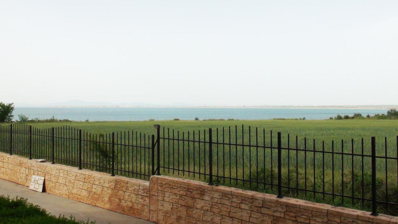 Студио
