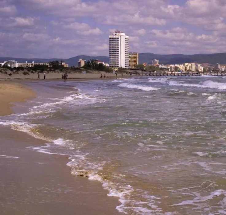 Single Apartment In Searegal Compex-1