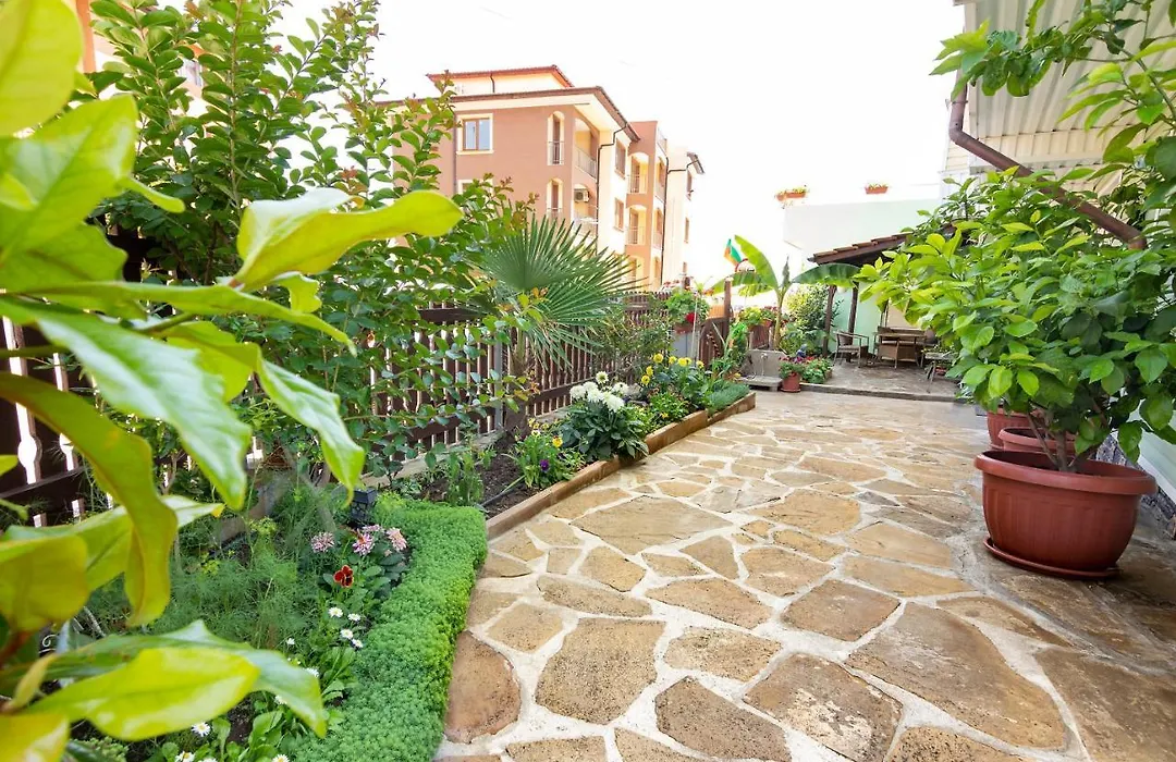 Guesthouse Sunny Dream-1