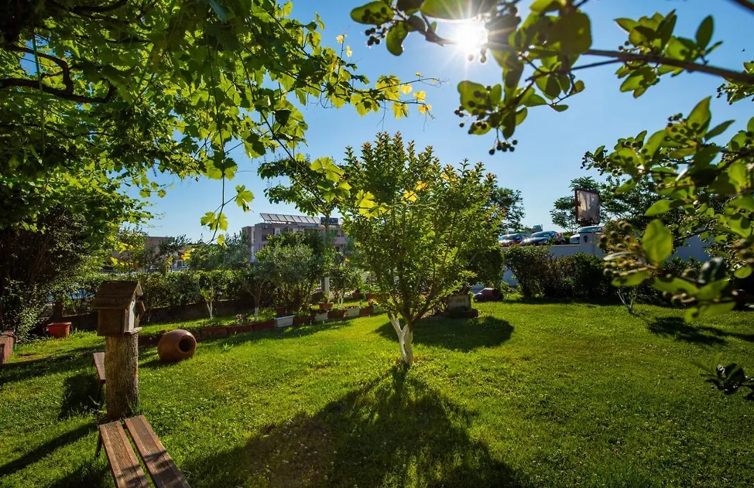 Cherry Villa-1