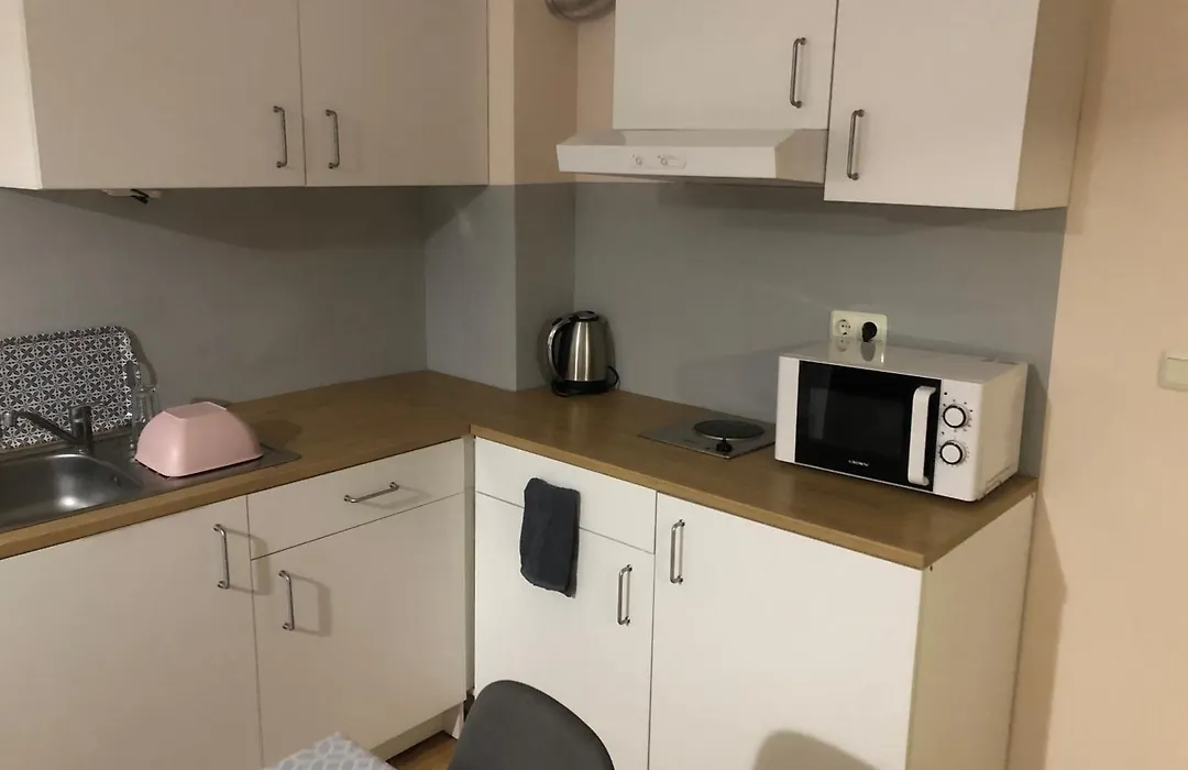 Apartment Radost-1