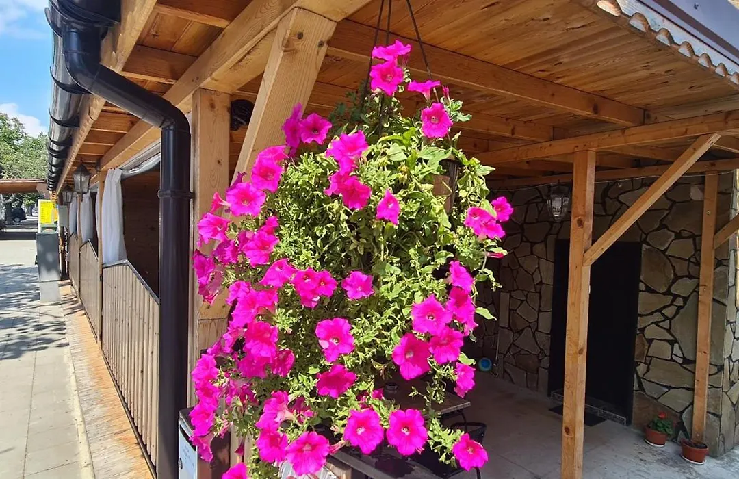 Sineva Guest House-1
