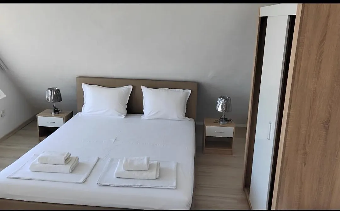 Aria-1