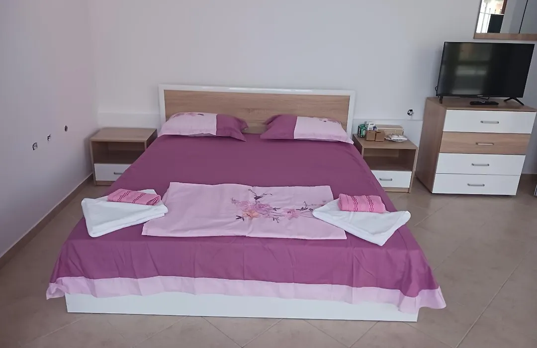 Guest House Vasilevi-1