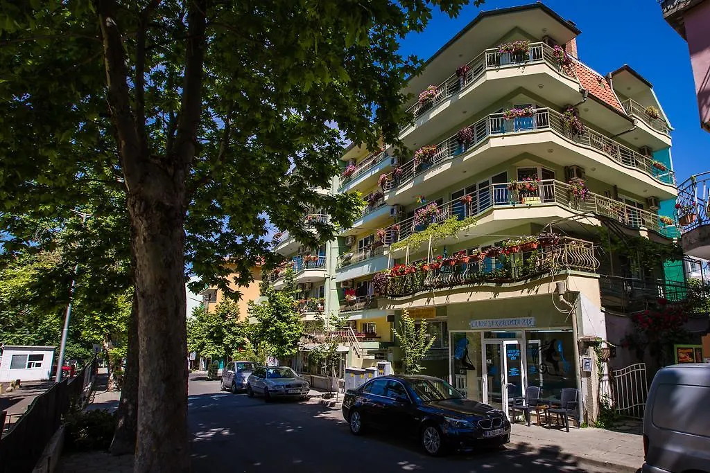 Guest House ,, Ekaterina"-1