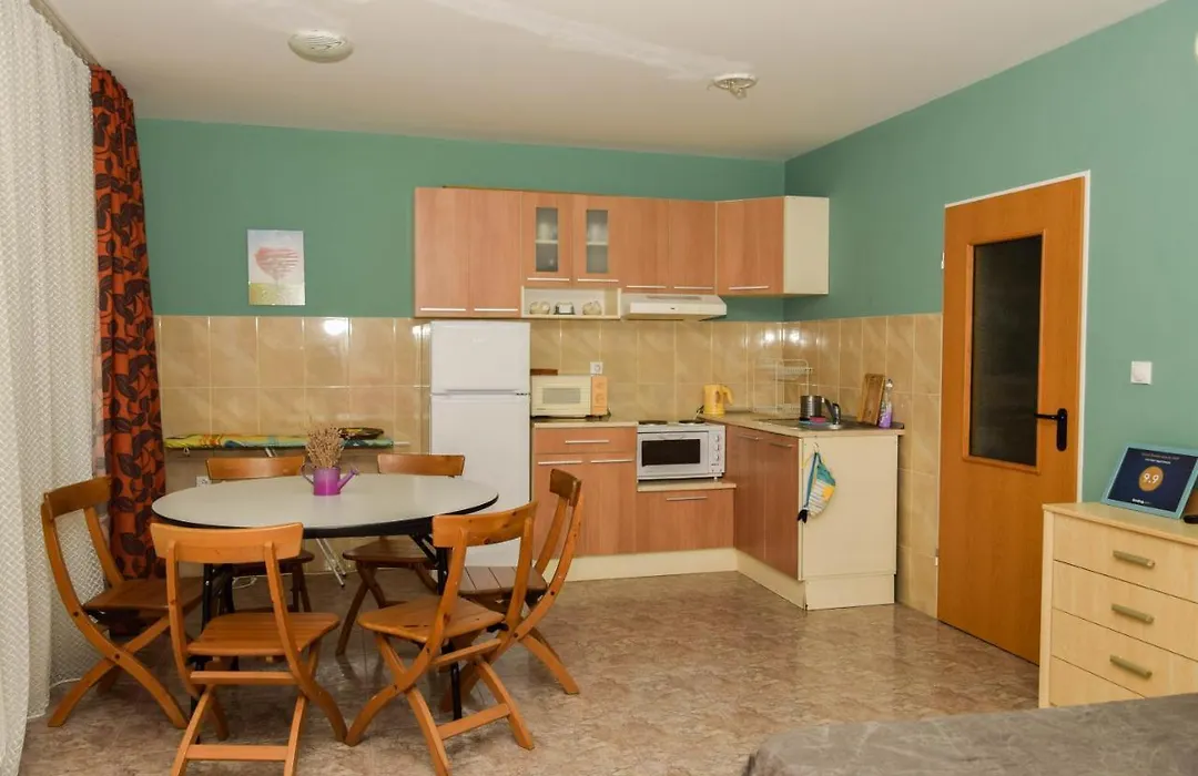 Comfort Apartment-1