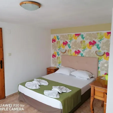 Family Hotel Sofi-2