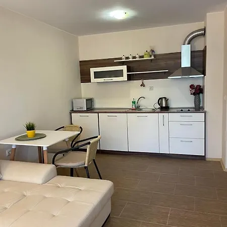 Rich-3 Sp Apartments-3