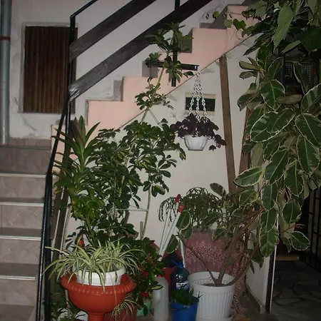 Guest House Pepina-3