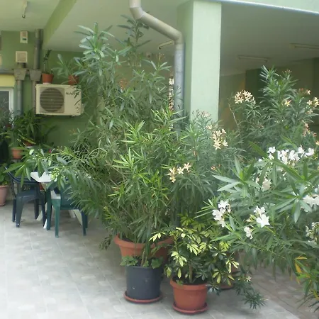Guest House ,, Ekaterina"-2