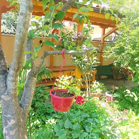 Summer House Tiara-2