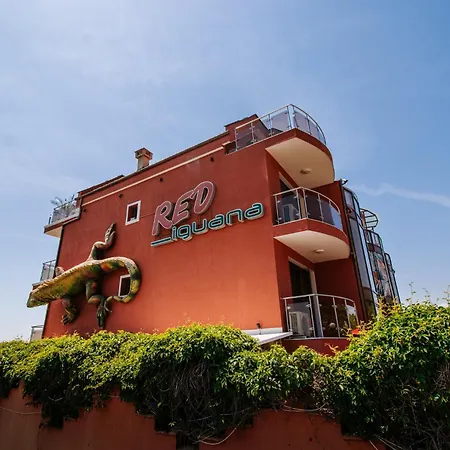 Red Iguana Hotel-3