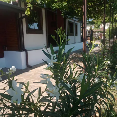 Lozyata Guest House-3
