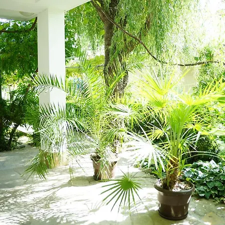 Guest House Barbov-3