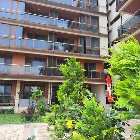 Студио-"Ziko"-2