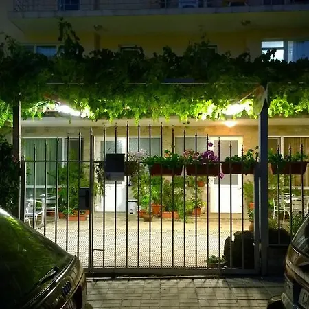 House Of Flowers-2