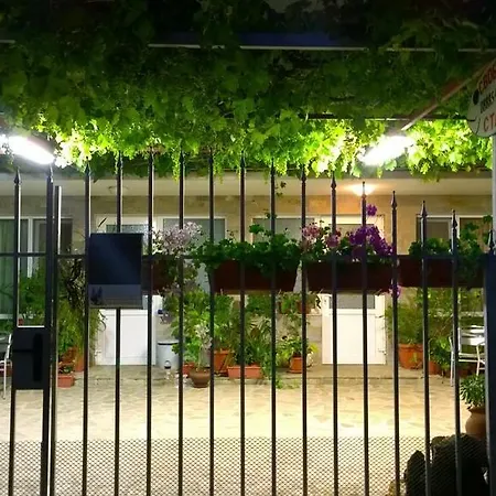 House Of Flowers-3