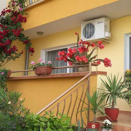 Guest House Stoyanovi-2