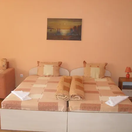 Guesthouse Petrovi-2