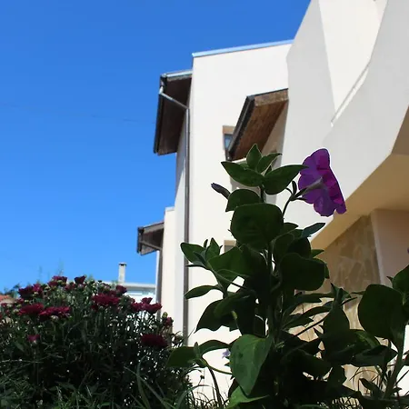 Siana House-3