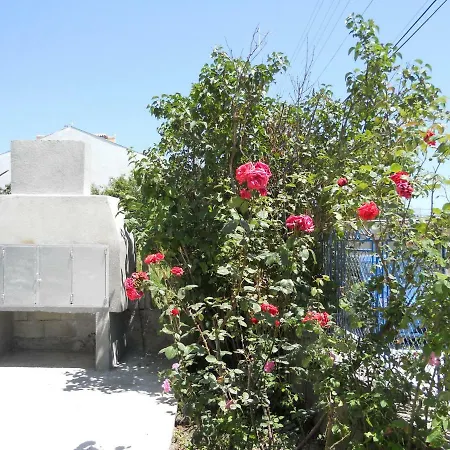Guest House "Tania"-2