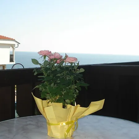 Tsb Sun Coast Apartments-2