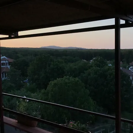 Guest House Villa Rose-2