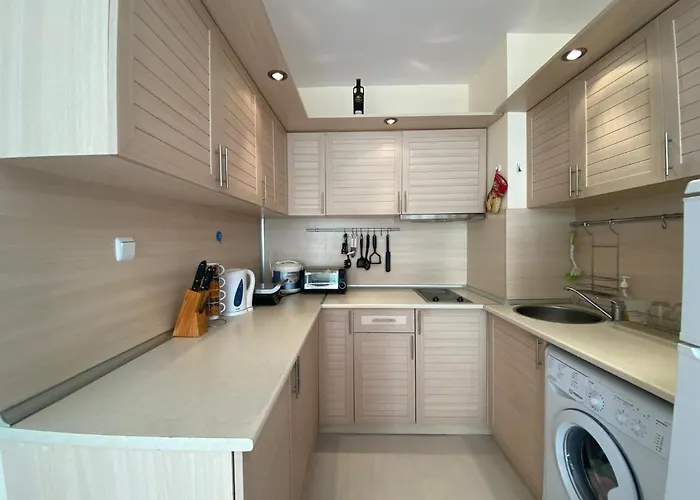 Blue Marine C16 Apartment Sunny Beach admite animales