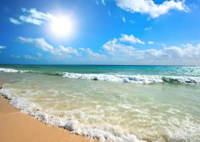 Appartamento Private Studio C 200 Avalon Sunny Beach che accetta animali
