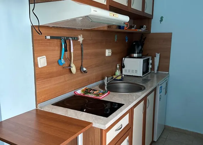 Appartement Lilya à Nessebar acceptant les animaux