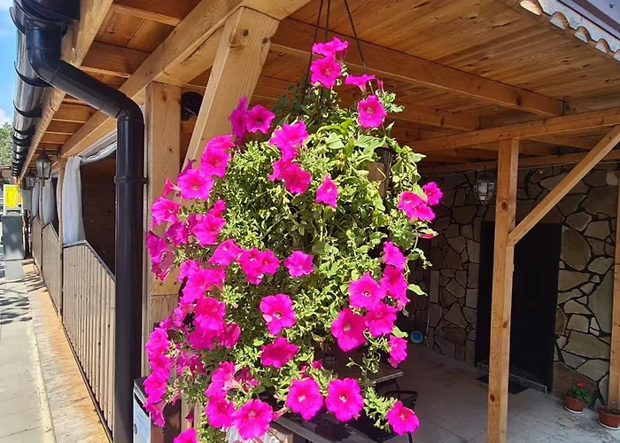 Sineva Guest House Равда