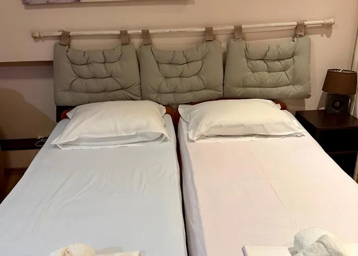 Pet friendly Анси Pomorie