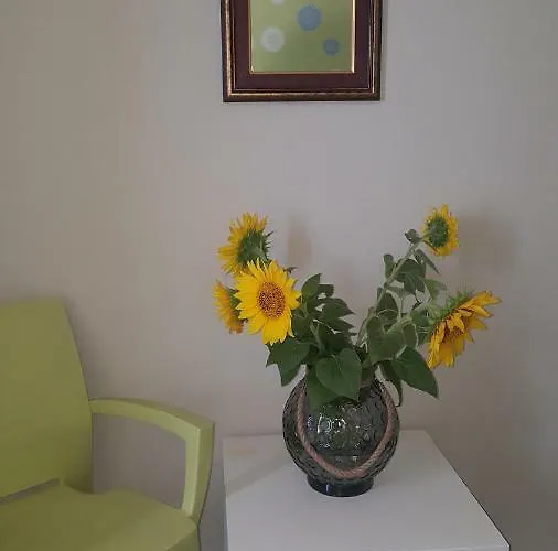 Жълтата Къща Hotel Ахтопол